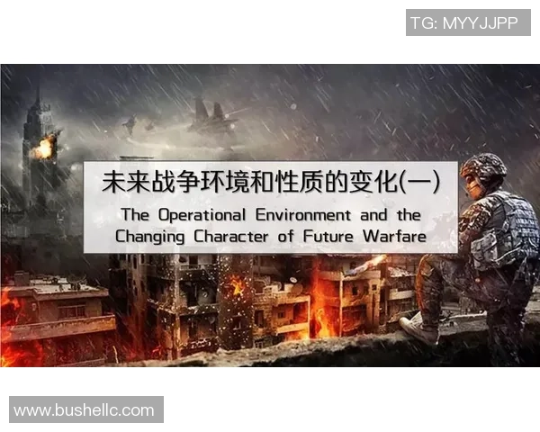 杭州排球队实力分析与未来发展潜力的深度探讨